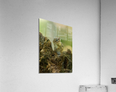 A29I5872 Edit 3 Acrylic Print