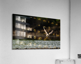 DSC01227 Edit Acrylic Print