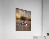 DSC06896 Edit Acrylic Print