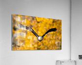 DSC09152 Acrylic Print