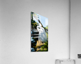 Attachment 1 Acrylic Print