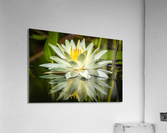 5F4A9754 Edit Acrylic Print
