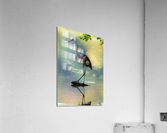 DSC03594 Edit Acrylic Print