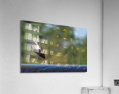DSC02055 2 Acrylic Print