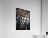 DSC02992 2 Acrylic Print