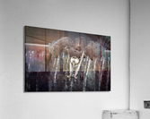 DSC02992 Edit 6 Acrylic Print
