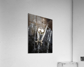 DSC02992 Edit  Acrylic Print
