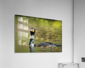 DSC03214 Edit 6 Acrylic Print