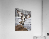 DSC03140 NR 3 Acrylic Print