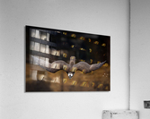 DSC02980 Edit Acrylic Print