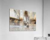 DSC09681 Edit 2 Acrylic Print