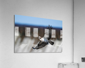 DSC01926 Edit 2 Acrylic Print