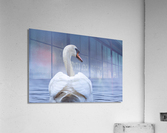A29I4984 Edit 2 Acrylic Print