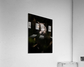 A29I0804 Edit 3 Acrylic Print
