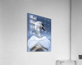 A29I4984 Edit 3 Acrylic Print