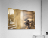 A29I4120 Edit Acrylic Print