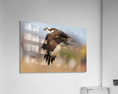 DSC06668 Edit Acrylic Print