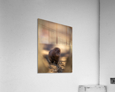 A29I4120 Edit 4 Acrylic Print