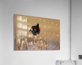 A66I1633 Edit Acrylic Print