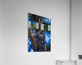 A29I7804 Edit 3 Acrylic Print