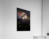 A29I0804 Edit 2 7 Acrylic Print