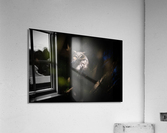 A29I0804 Edit 2 3 Acrylic Print