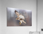 A66I2605 Edit Acrylic Print