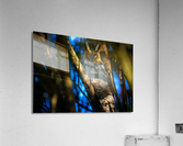 A29I7447 Edit 2 Acrylic Print