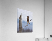 A66I1373 Edit 4 Acrylic Print