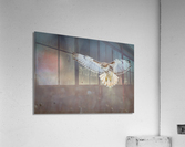 A66I1444 Edit 4 Acrylic Print