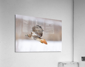 A66I0953 Edit Acrylic Print