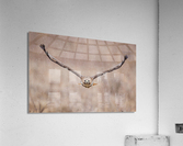A66I0464 Edit Acrylic Print