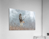 A66I1098 Edit Acrylic Print