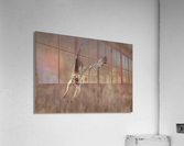 DSC07151 Edit Acrylic Print