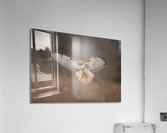 A66I1444 Edit 3 Acrylic Print