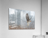 A66I1094 Edit Acrylic Print