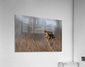 DSC03614 Edit Acrylic Print