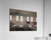 DSC08711 Edit Acrylic Print