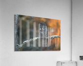 DSC09511 2 Edit Edit 6 Acrylic Print