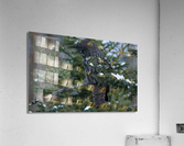 DSC00257 2 Edit Acrylic Print