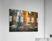 DSC08785 2 Edit Acrylic Print