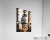 DSC08652 2 Edit 2 5 Acrylic Print