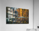DSC08776 2 Edit 2 Acrylic Print