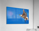 DSC01792 Edit Acrylic Print