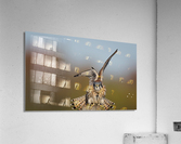 DSC09951 Edit 2 Acrylic Print