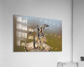 DSC09947 Edit 6 Acrylic Print