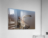 DSC08015 Edit  Acrylic Print