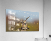 DSC09955 Edit Acrylic Print