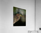 DSC04025 Edit 6 Acrylic Print