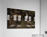 DSC07673 Edit Acrylic Print